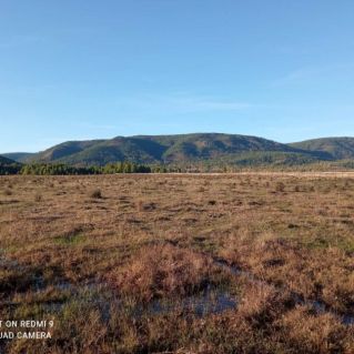 "Осень за окном"