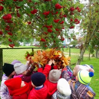 "Осенний букет"