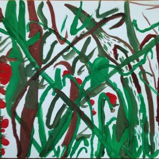 Божьи коровки на прогулке