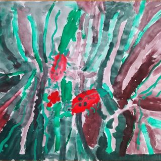 Божьи коровки обедают