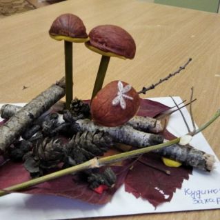 Грибы боровики