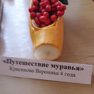 Путешествие муравья