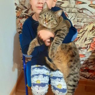 "Друзья навечно"