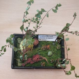 Осень в парке