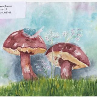"Грибы"