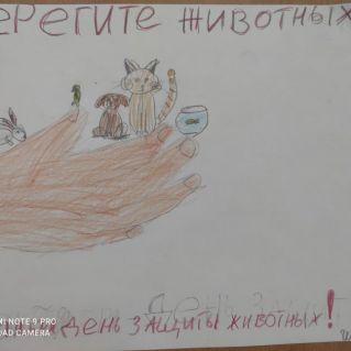 Берегите животных.