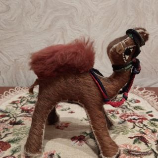 Верблюд - корабль пустыни.