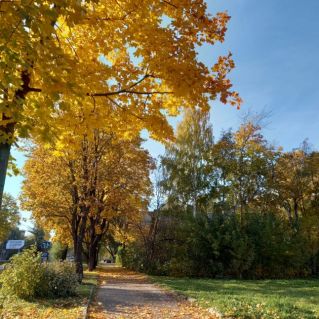 Осенняя нежность