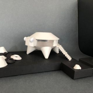 «Дом Животное, с частью двора» «Черепаха»