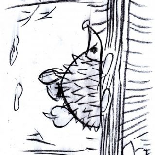 Ёжик с грибами