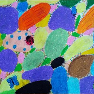 Насекомые на прибрежных камнях