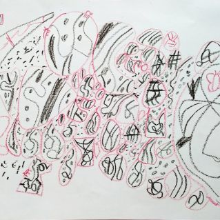 Насекомые среди камней