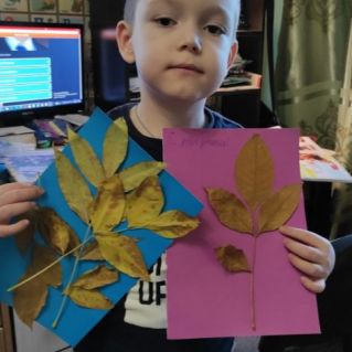 Осенние краски