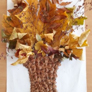 Чудеса природы