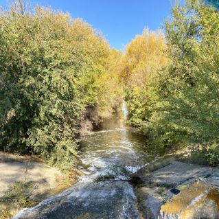 Осенний день