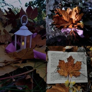 Осенняя сказка