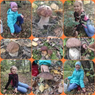 " Ай да грибочки!"