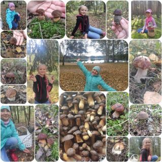 "Осень,осень!"