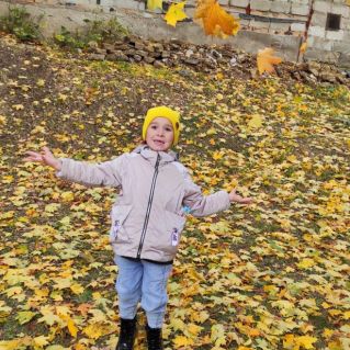 Золотая осень