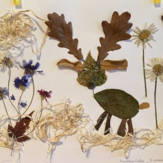 В осеннем лесу