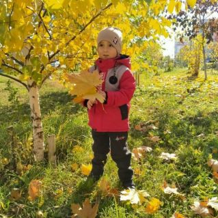 Осень золотая