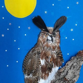 Ночной охотник