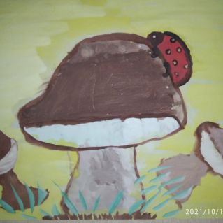 Грибная семейка