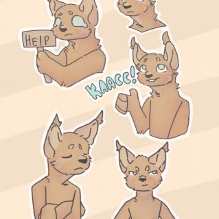 стикеры - Кот