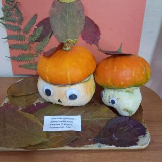 грибная полянка