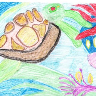 Подводный мир