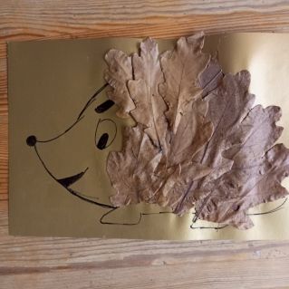 Забавный еж