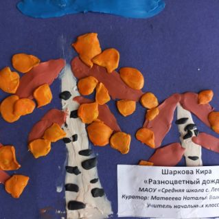 "Разноцветный дождь"