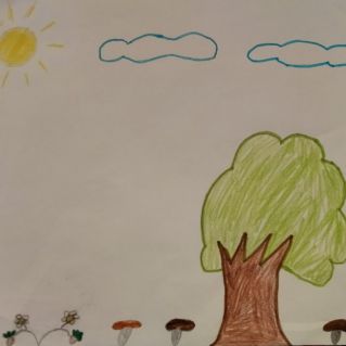 Грибная полянка