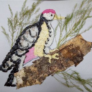 "Лесной доктор"