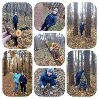 "Осенняя сказка"