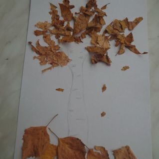 Желтая береза