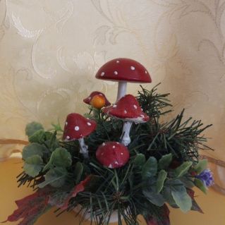 Грибная поляна