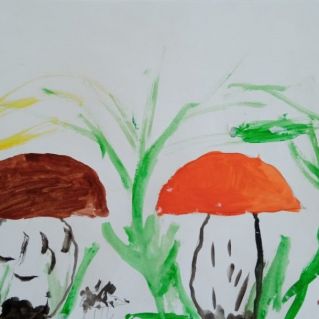 Коренастые грибочки