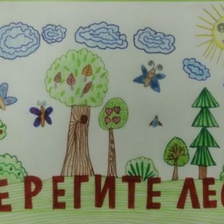 "Берегите лес"