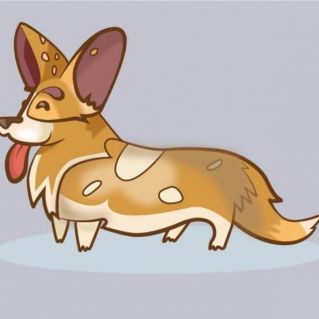 Собака корги