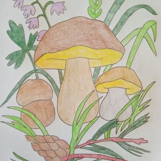 Грибная полянка