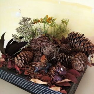 Сказочный муравейник