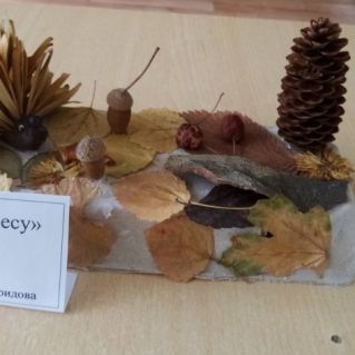 Ёжик в лесу