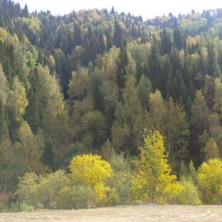 Осень в горах