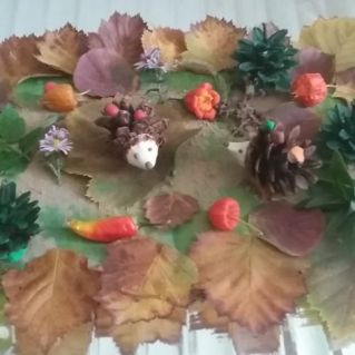 Осенняя полянка