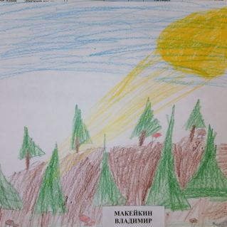 "Лес. Солнце через облака".