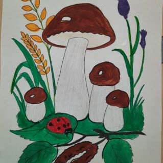 Грибная полянка