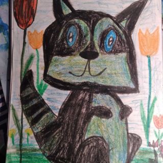 Крошка Енот