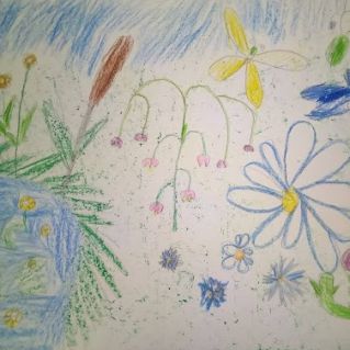 "На берегу пруда"