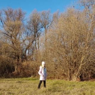 "Край, родимый край..."